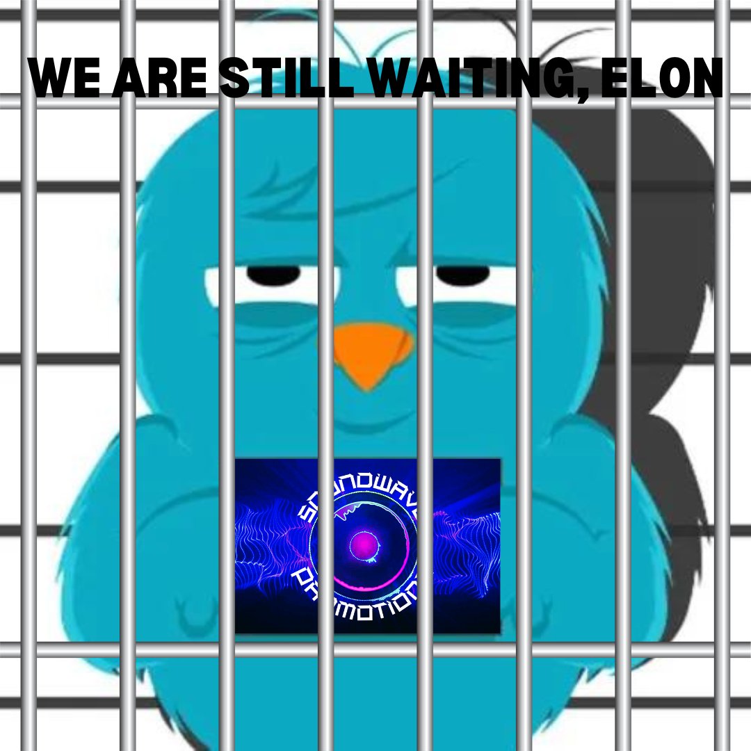 randognsac's tweet image. Every time I see an old account get reinstated, I get my hopes up and check my old one. It feels like @officialtripoli and I are the only ones still waiting. Is anyone else out there in the same boat? #FreeTwitter #FreeSpeech #FreeSamTripoli #FreeSoundwavePromo1