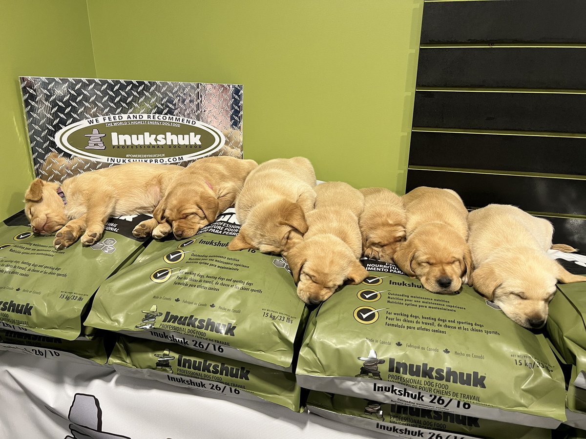<a href="/inukshukdogfood/">Inukshuk Dog Food</a> #labs #goodfood