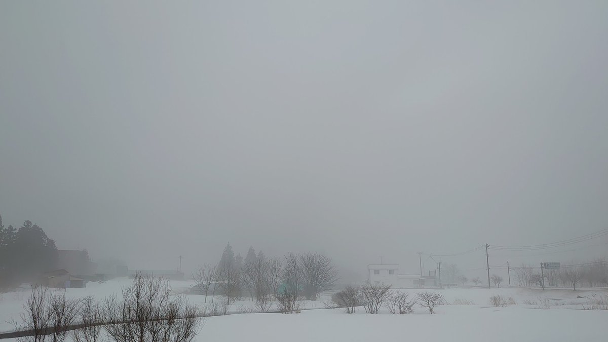 モヤヒルズ 公式 Moyahills Twitter