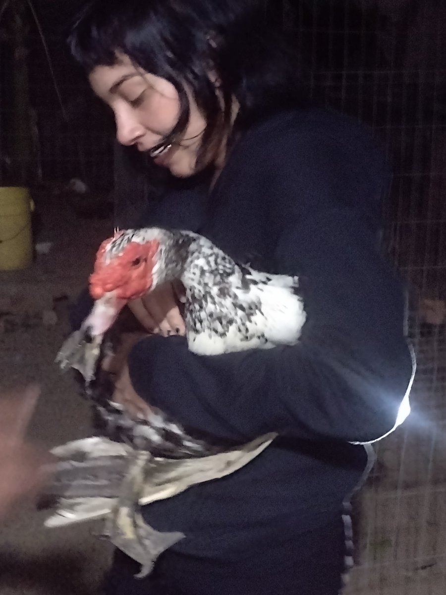 arwyn_official's tweet image. If SOL does that imagine what Mikaboshi is gonna do.. get in before 1c #ornot #seeingred