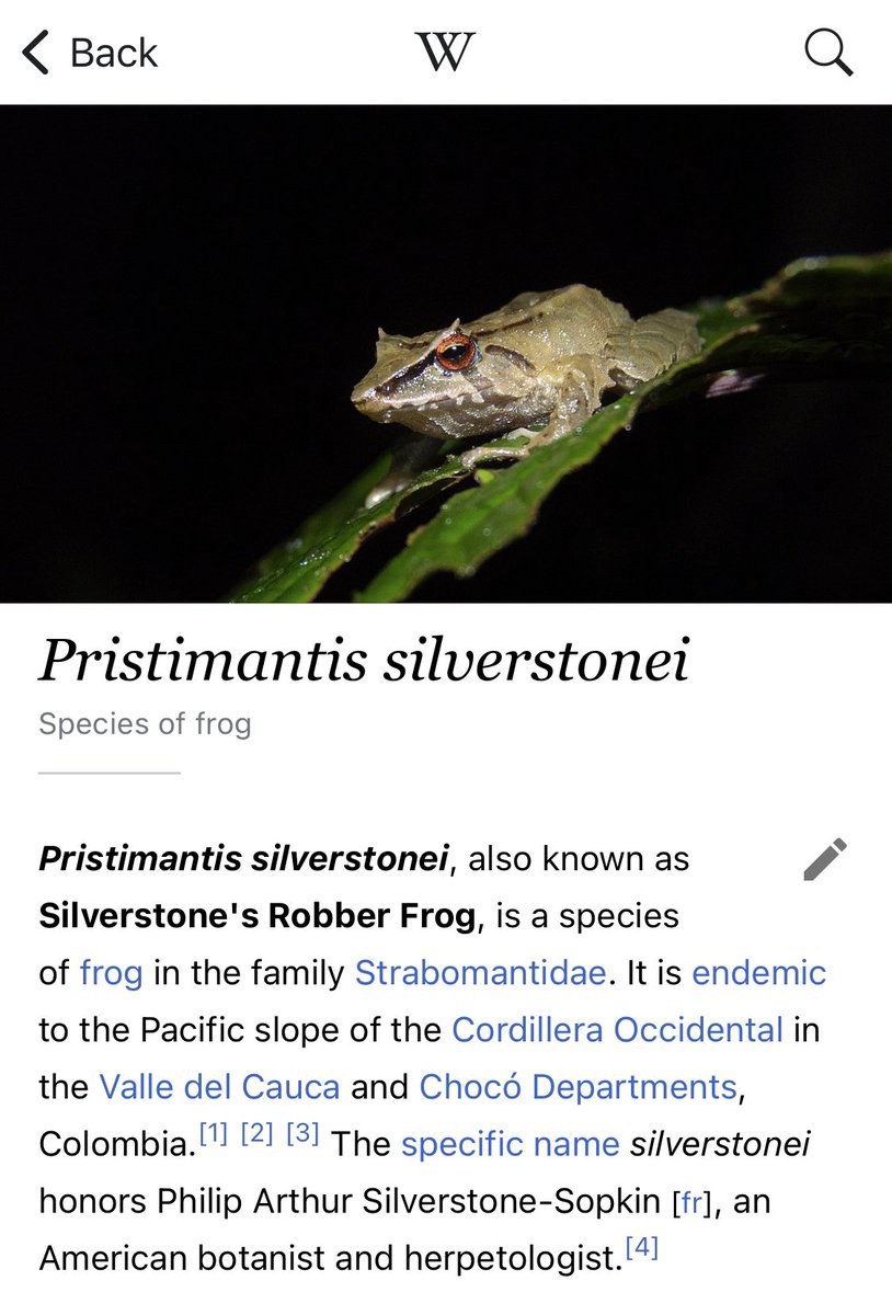 VisibleNature tweet media