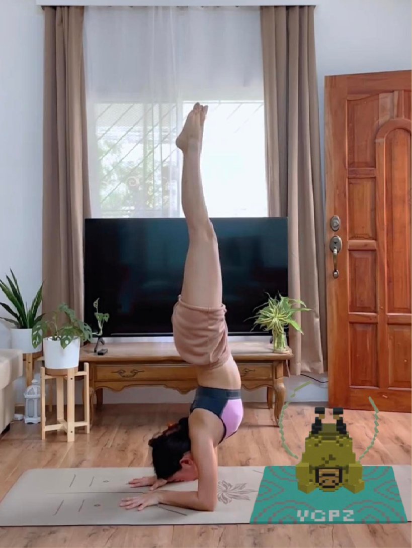 Look who joined me in my pincha mayurasana practice today! #yogapetz #yoga  <a href="/Kakarot_F23/">Kakarot ❤️ WELL3 🌈</a> <a href="/keung/">Keungz</a> <a href="/yhopak1/">manager</a>