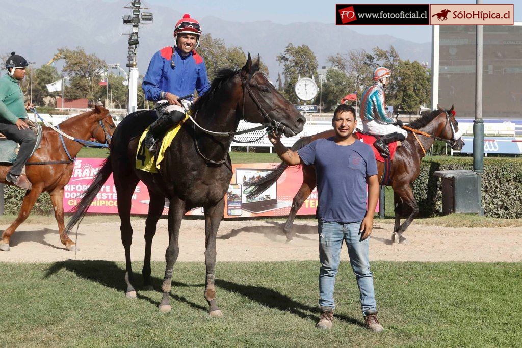 solohipica's tweet photo. MILTEO ganador Clásico "DANCING PLACE" 1800m. 13-Enero Club Hípico de Santiago. Stud EMES Preparador CRISTIAN URBINA Jinete RAFAEL CISTERNAS https://t.co/tNwawR8eSt #solohipica #Milteo #StudEmes #CristianUrbina #RafaelCisternas #ClubHípicoSantago #ClásicoDancingPlace https://t.co/CyGUtg7N6B
