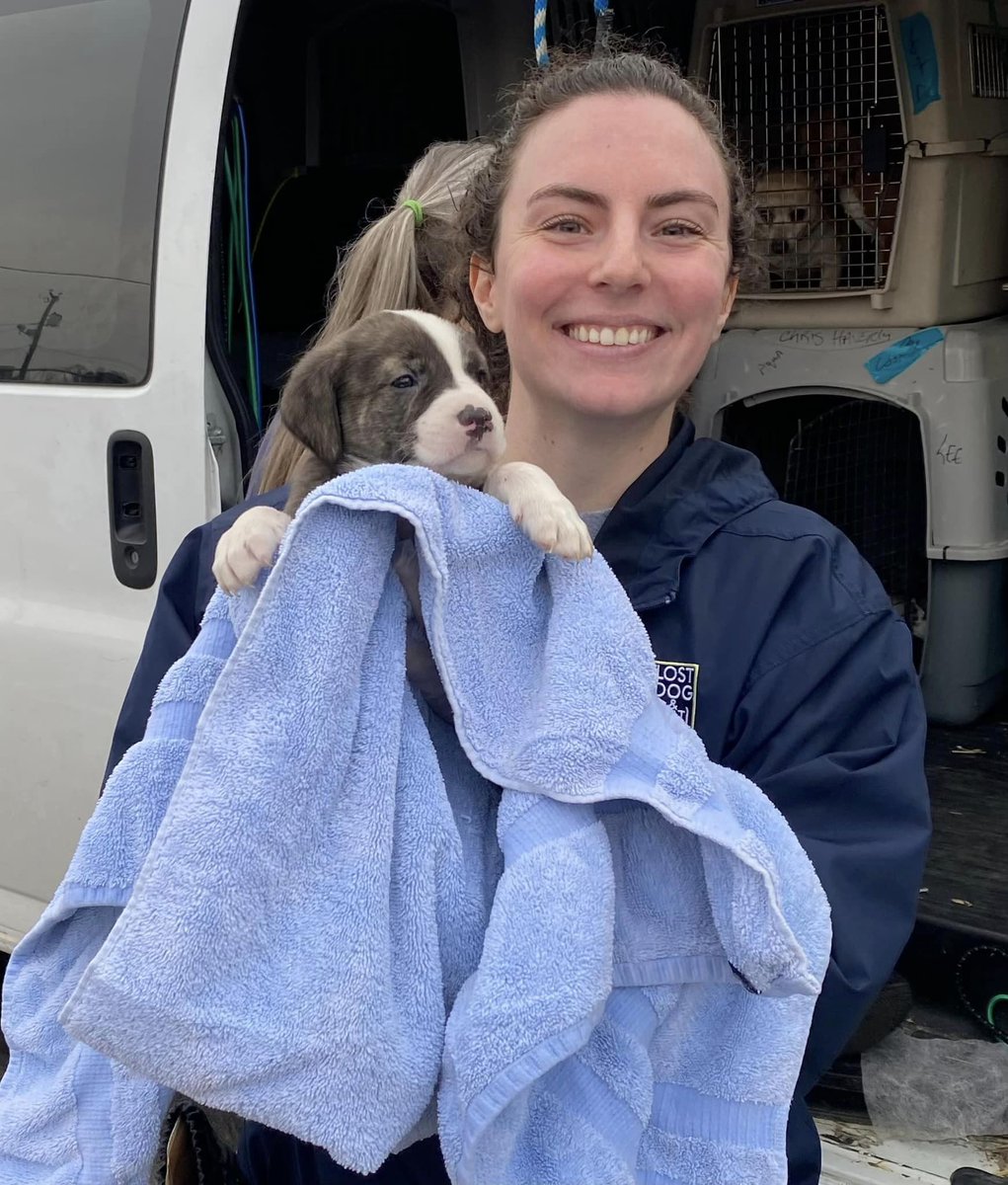 lostdogrescue's tweet image. 🙌You helped us answer not 1️⃣ but 2️⃣ lifesaving calls this week from a shelter in Lee County, the southwestern-most county in VA. We opened the doors of our Rescue Care Center to 15 dogs &amp;amp; puppies — rescued with our friends at Lee County Animal Control in Jonesville🐶

More!🧵1/4