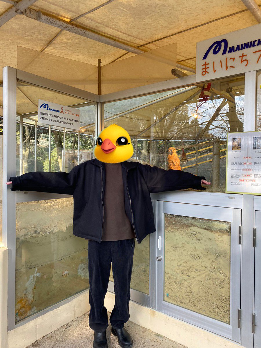 chriptopher_jp's tweet photo. ひさびさに動物園行ってきました！

ペンギンさんのぺたぺた歩きに癒されてゆったりとした時間を過ごせました🐧

恐竜博物館とか水族館とかにも行きたくなっちゃったので今度行こうと思います🐥

 #TMAs #TheMafiaAnimals #動物園tomint https://t.co/2jtLkbrzEM
