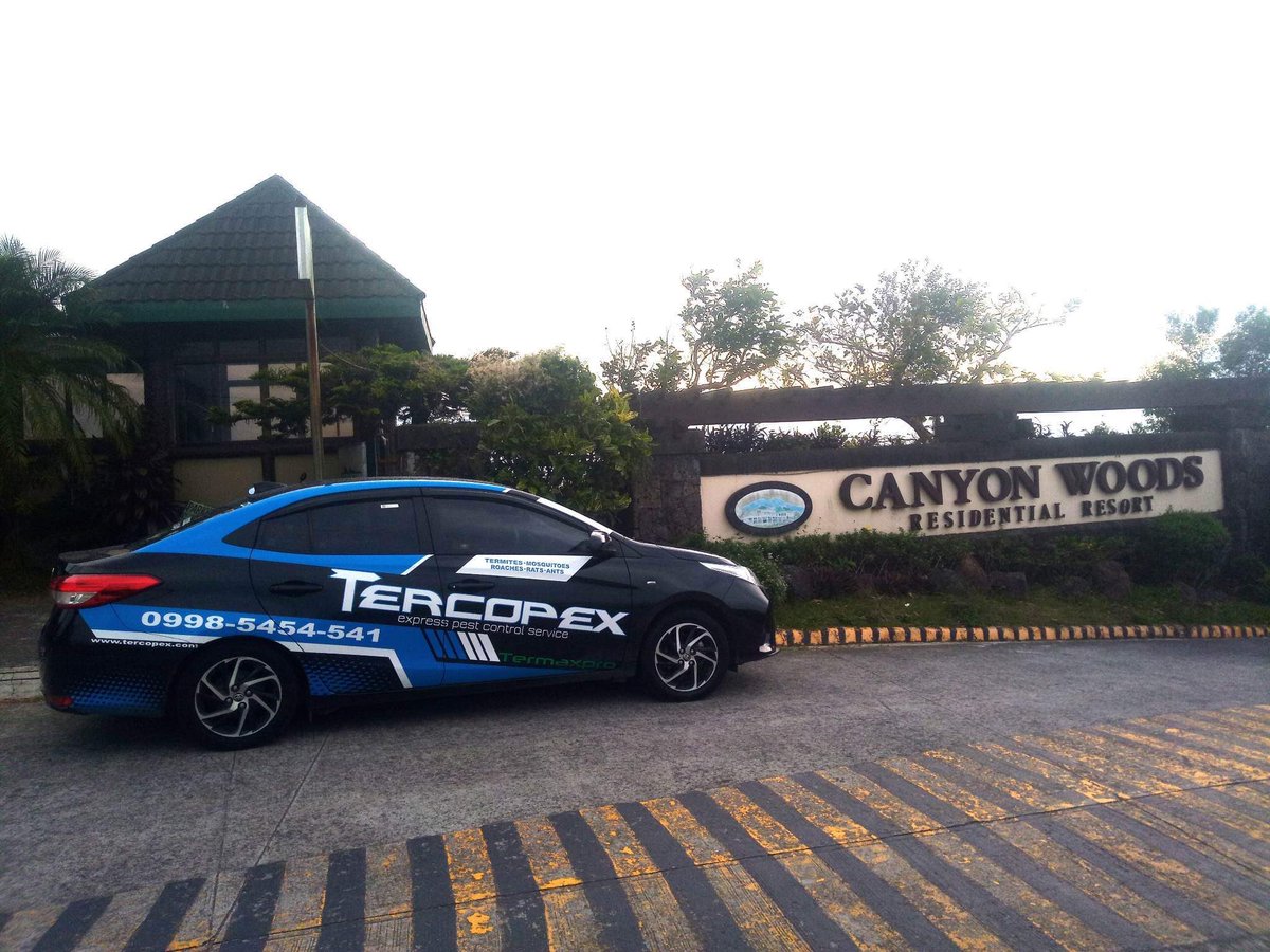 tercopex tweet picture