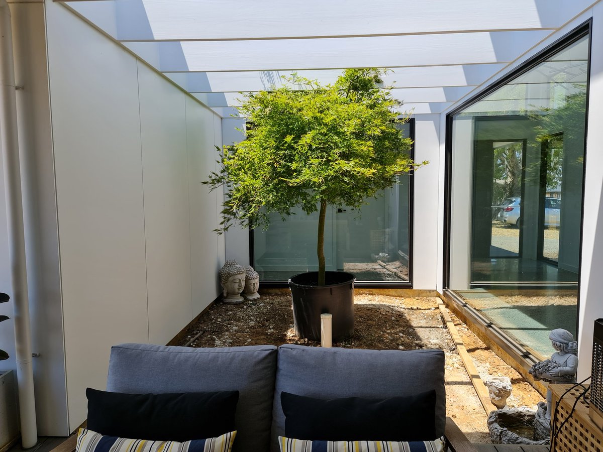 mnqw443's tweet image. #project #courtyard update #mapletree