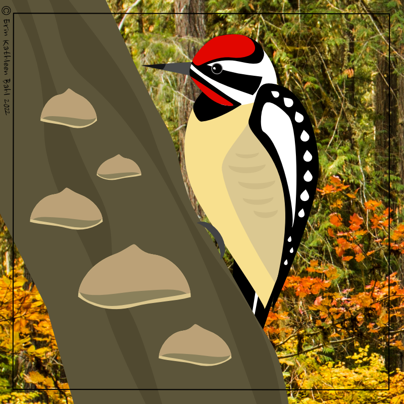 A few more character design drafts (I'll start posting the comic itself next week!) #bird #comics #webcomics