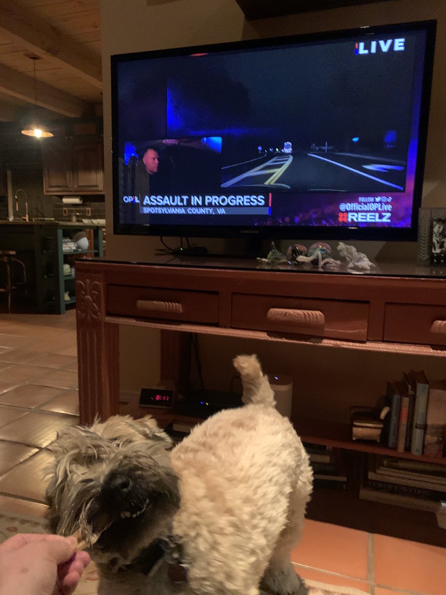 ArtieS's tweet photo. Ethel Mertz insisted on a snack break while watching #OPLive #OPNation #dogsofOPL #REELZ https://t.co/h9qgBddQH1