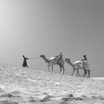 Photo by Mahmoud (@El_Achi)