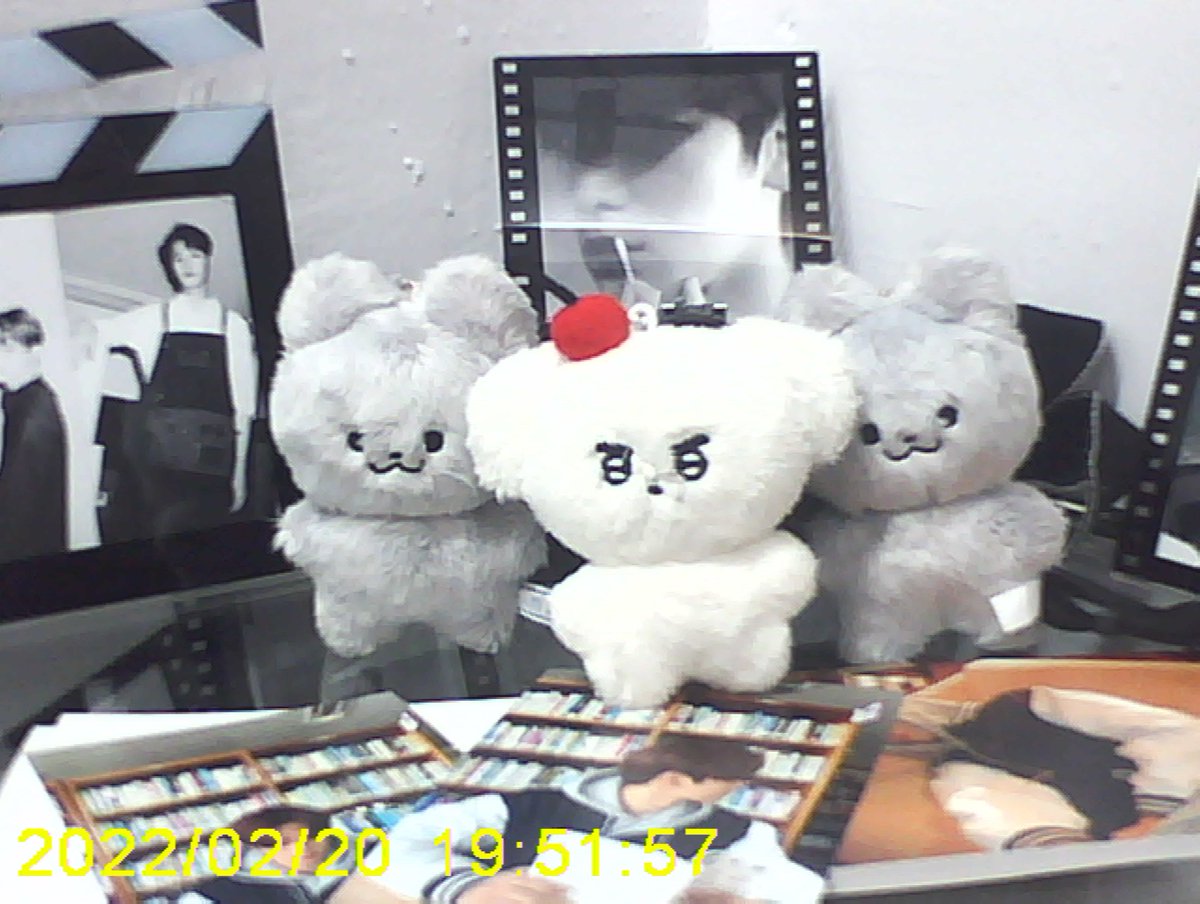 sunsetbringsjy's tweet photo. [📸] 2023.01.13 쥬냥이 카메라 속으로 https://t.co/FGS2jJEjKk