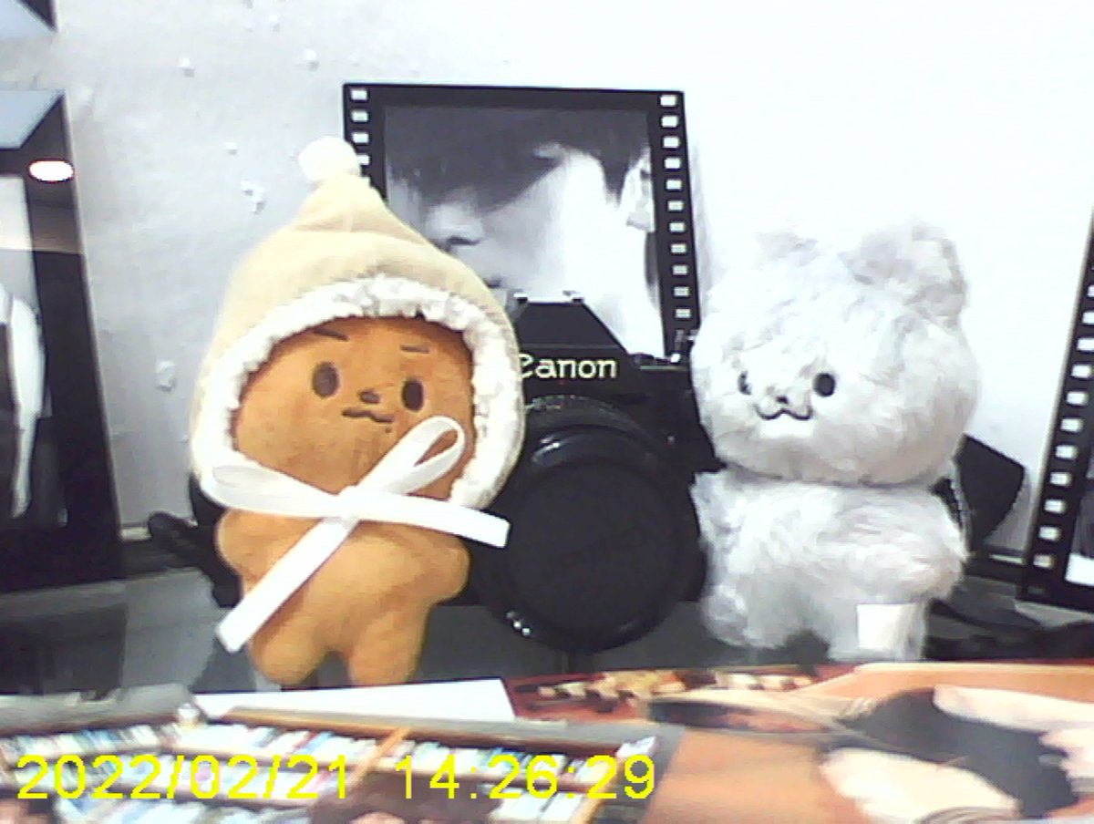 sunsetbringsjy's tweet photo. [📸] 2023.01.13 쥬냥이 카메라 속으로 https://t.co/FGS2jJEjKk