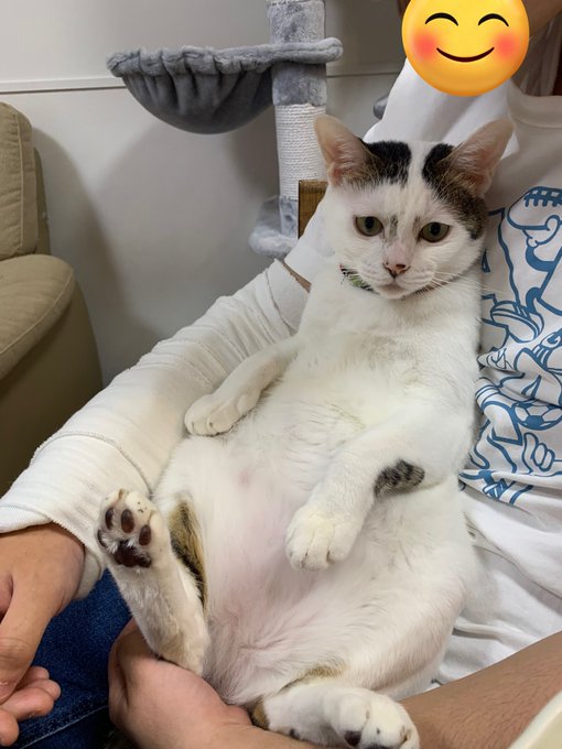 Twitterのコスプレ画像1