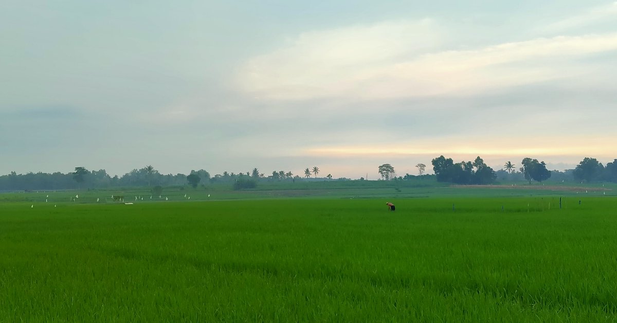 ardiyari's tweet photo. Nyes... Seger banget liatnya https://t.co/CNWFg5zTEH