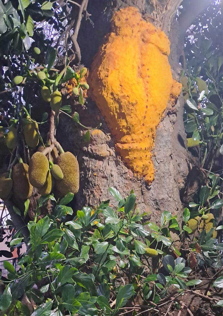 jkgche's tweet image. Do make it a point to visit #Aduthurai Perumal Koil, if you are travelling on Tiruvaiyaru-Swamimalai-Kumbakonam route