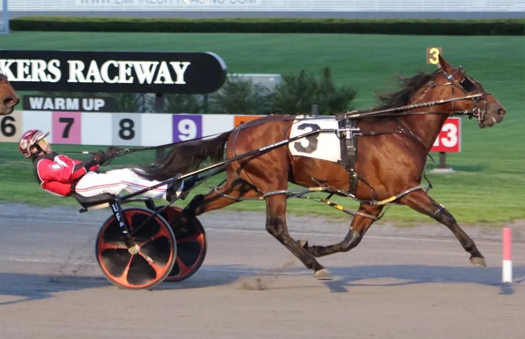 MeridianFarmsW's tweet photo. We are part owner of two Standardbred stallions in PEI:
Standing first season is Fine Diamond p,1.50 $830,234, by Rock And Roll Heaven out of Breeders Crown winner Yellow Diamond. Stallion fee is $1200 plus HST live foal. Check our website https://t.co/zOLnTs7DKy https://t.co/6UKwPTeG92