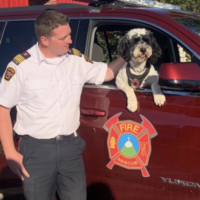 evwoodford's tweet photo. #NewProfilePic https://t.co/mcPAxOs7X1