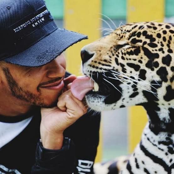 Lewis Hamilton pictures that will make you smile (@smilinglewis44) on Twitter photo 