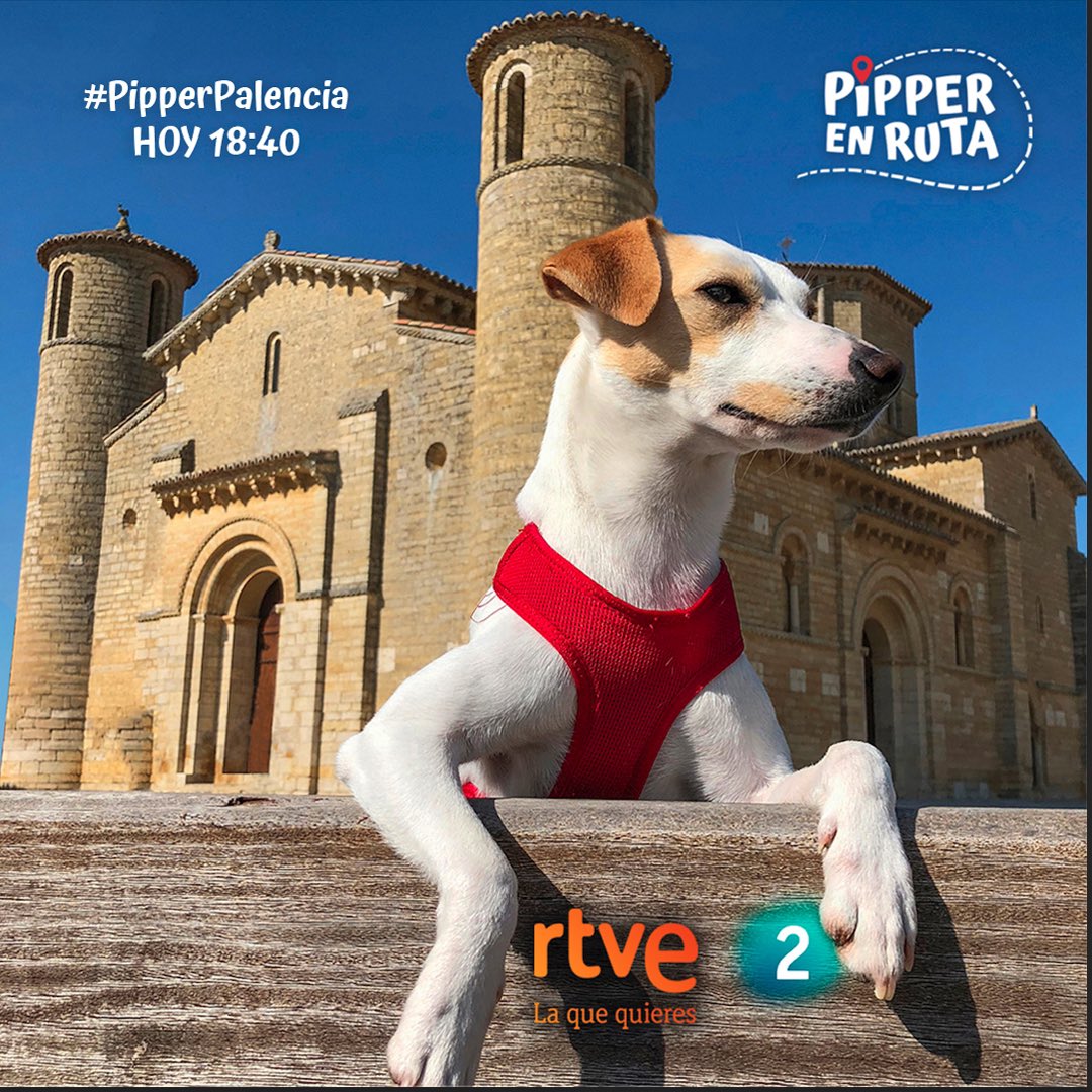 pipperontour's tweet photo. Hoy sábado a las 18:40 en @la2_tve no te pierdas el episodio de #pipperenruta en Palencia. ¿Logrará Pipper que los perros educados puedan acompañar a sus familias al @MuseodeCuentos ? ¿Encontrará alguna iglesia románica que admita 🐕? 📺 #pipperontour #pipperpalencia https://t.co/pc6zaSfKqv