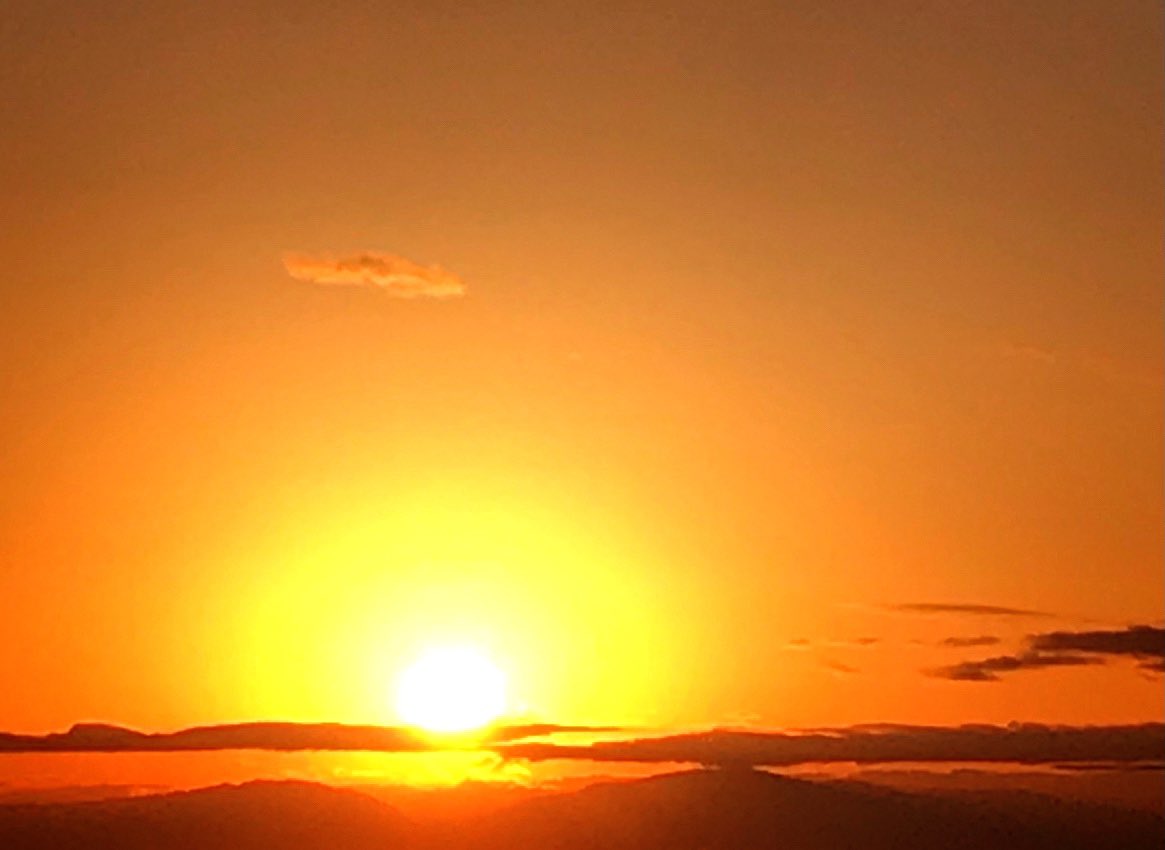 𝒥𝓊𝓃 ℛ𝒫 tweet media