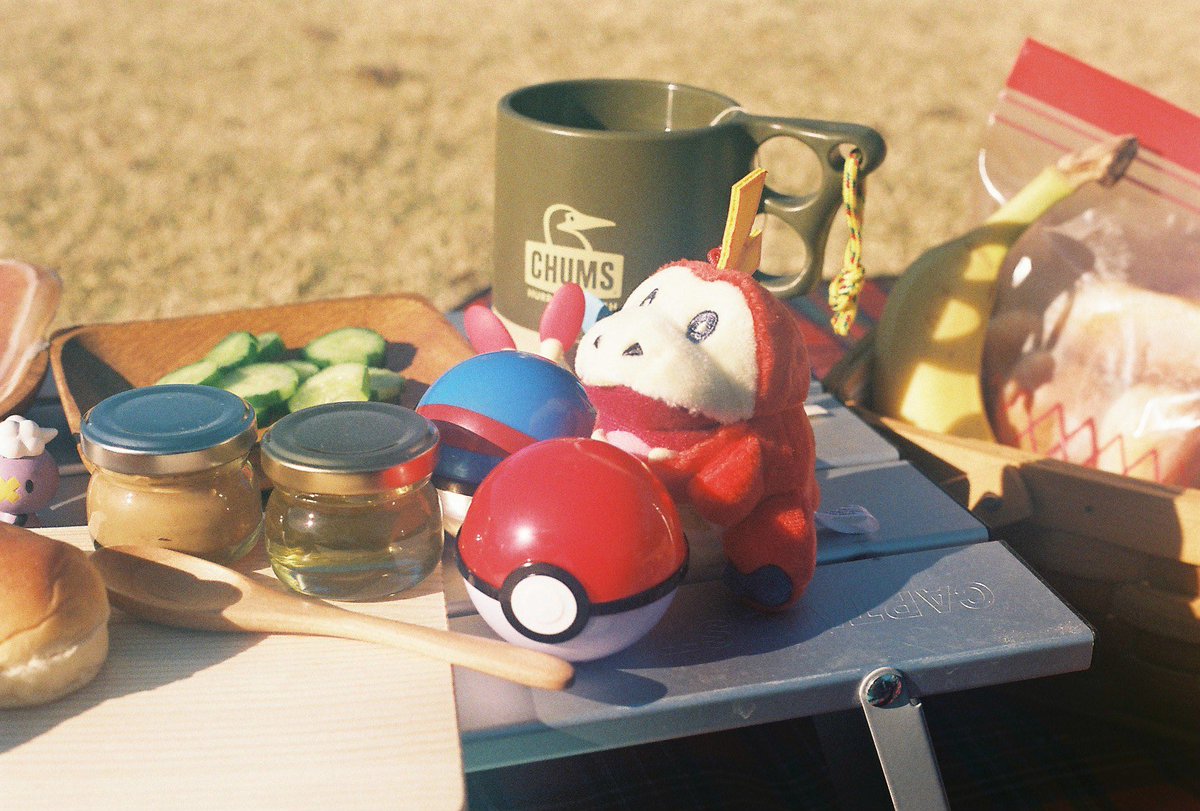 ZZZ_zkym's tweet photo. リアルポケモンピクニックした時のフィルム写真。ホゲかわ。

#ポケモンピクニック
#Canonal1
#filmphotography 
#フィルムカメラ https://t.co/ZYAjyDwzh5