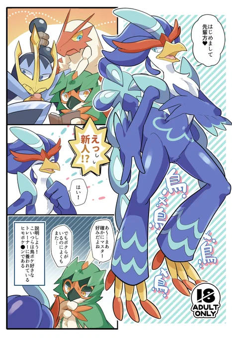 新刊のペラ本はフルカラーで鳥御三家の新人イビリ本です、全員♂。フルカラーなので割高ですが、お気になる方はぜひ…! 