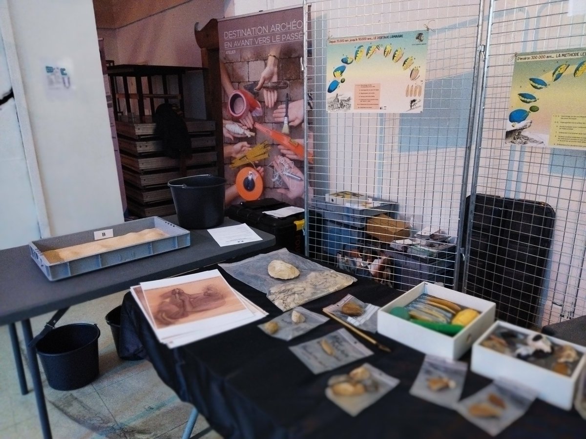 fuoridalgruppo tweet media