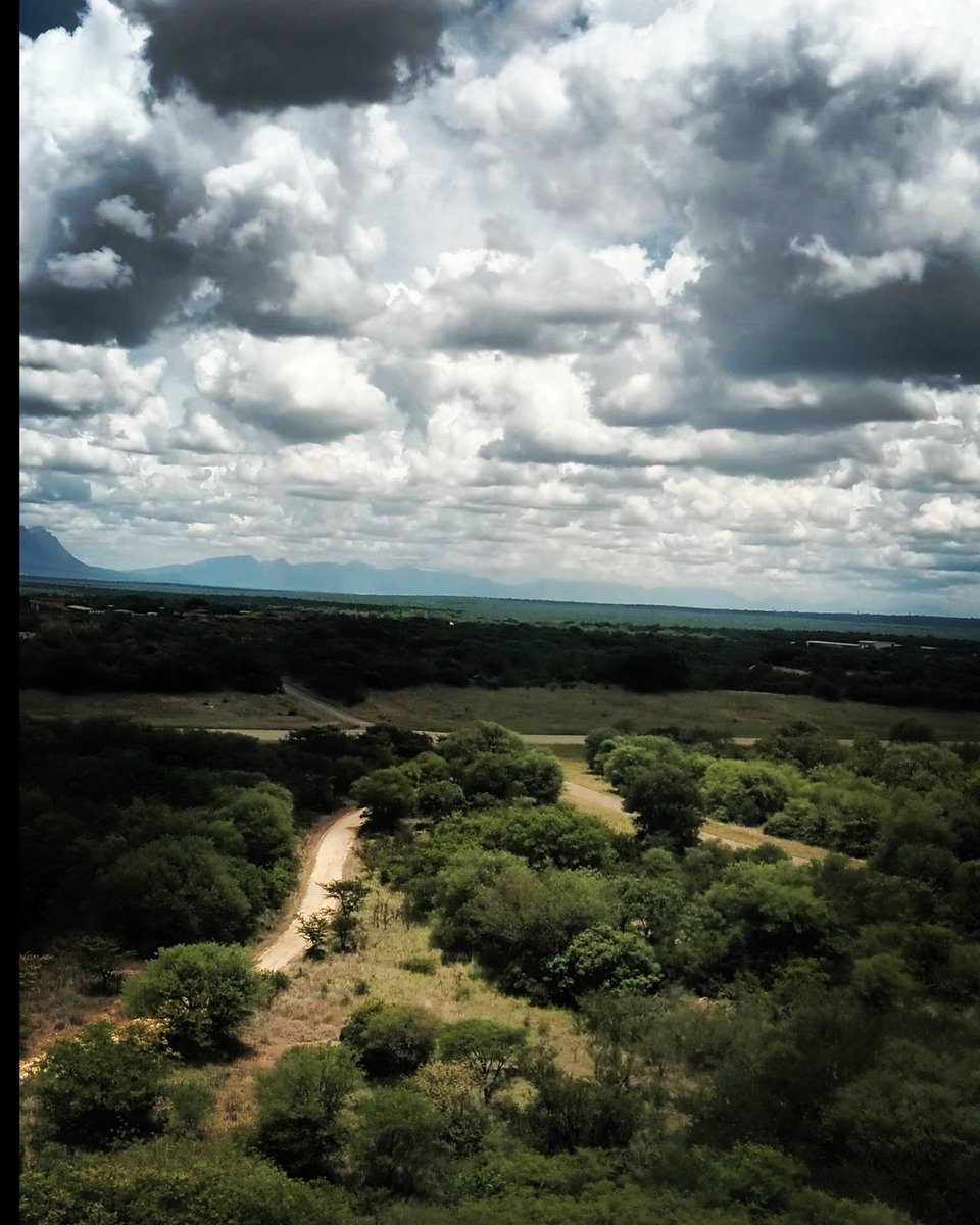 JoziStyle's tweet photo. Seconds before landing in Hoedspruit to visit Monwana
The South African landscape is a natural wonder and the perfect antidote to the urban jungle.
Come with me to @Monwana!
#TravelJoziStyle
#TravelMonwanaStyle https://t.co/QbcutHdiJM
