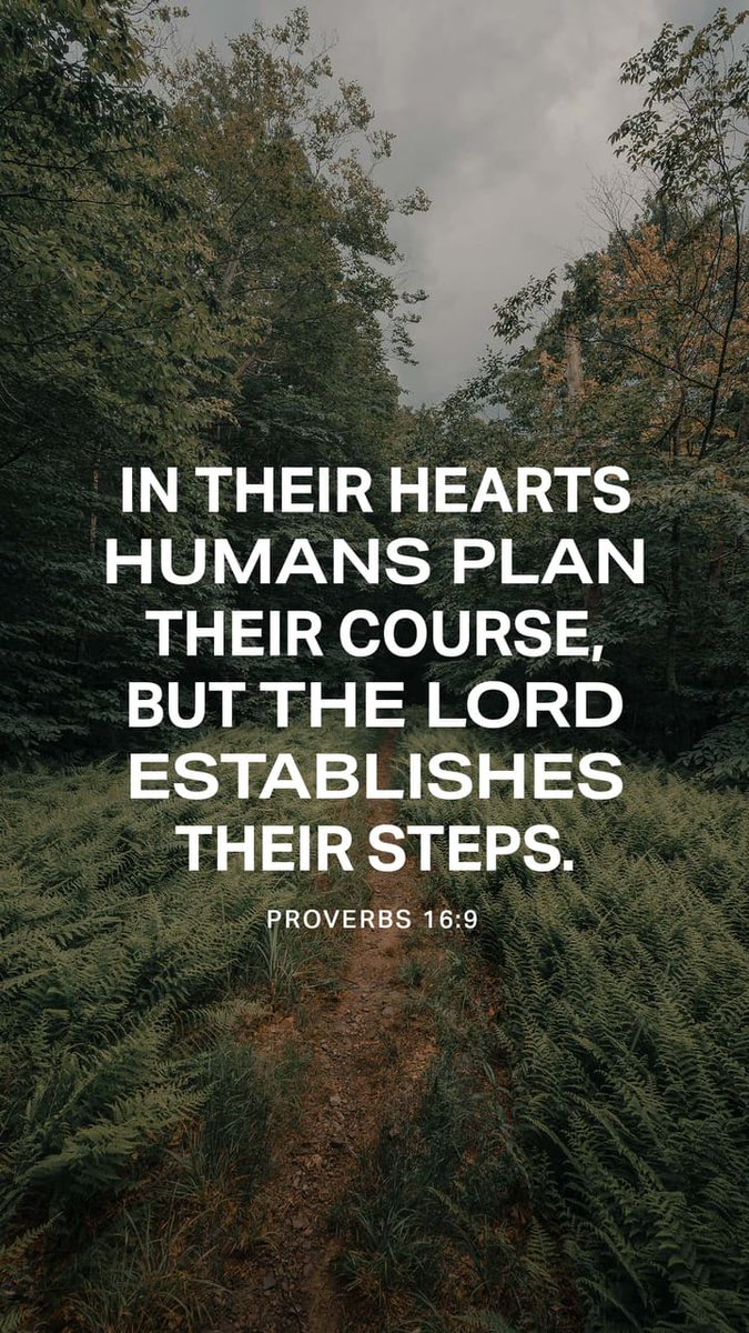 Jennife40190670's tweet photo. In their hearts humans plan their course, but the Lord establishes their steps.
Proverbs 16:9 NIV

https://t.co/2LO18n4tJl https://t.co/zZauJO2MpF