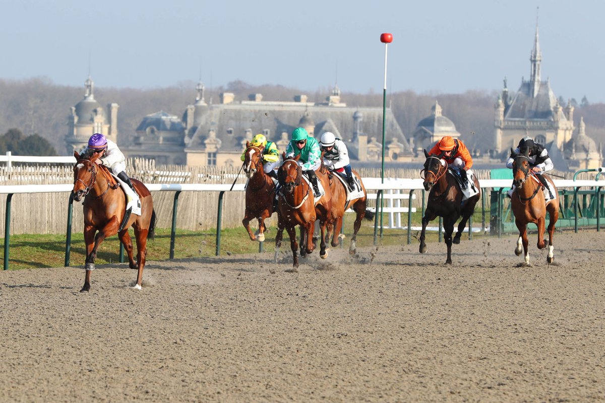 Jour de Galop (@jour_de_galop) on Twitter photo NEAR AMORE (Amaron - Gestut Etzean) survole le Px du Rond Fille de l'Air (Maiden) à <a href="/fgchantilly/">FG Chantilly</a> ! La pensionnaire et représentante de <a href="/nclementracing/">Clement & Hermans Racing</a> en association avec G. Augustin-Normand a le droit de faire rêver son entourage. Achetée à <a href="/BBAG_Sales/">BBAG</a>. <a href="/pasquito60/">Pasquier Stéphane</a> 📸 <a href="/ScoopDyga/">ScoopDyga</a> NEAR AMORE (Amaron - Gestut Etzean) survole le Px du Rond Fille de l'Air (Maiden) à <a href="/fgchantilly/">FG Chantilly</a> ! La pensionnaire et représentante de <a href="/nclementracing/">Clement & Hermans Racing</a> en association avec G. Augustin-Normand a le droit de faire rêver son entourage. Achetée à <a href="/BBAG_Sales/">BBAG</a>. <a href="/pasquito60/">Pasquier Stéphane</a> 📸 <a href="/ScoopDyga/">ScoopDyga</a>