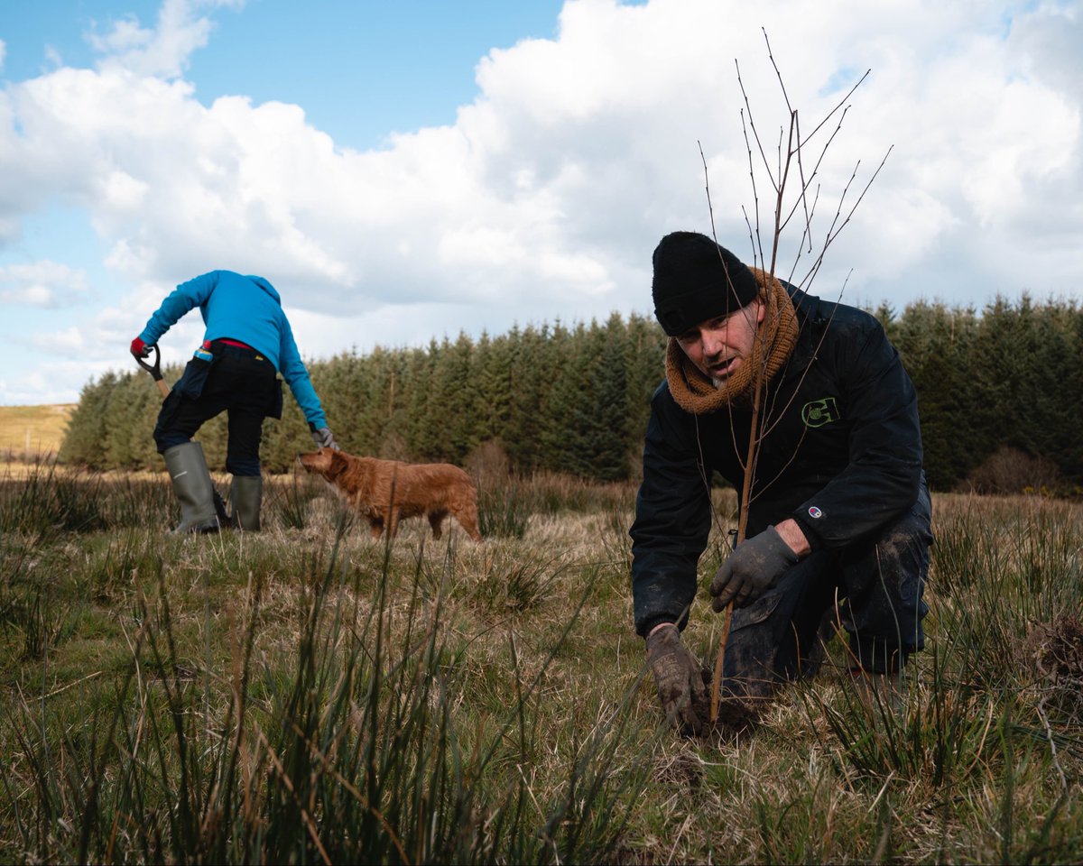 Not long now until we are back out planting more trees 🌲 on our farm in Clare 🇮🇪 #carbonheroes