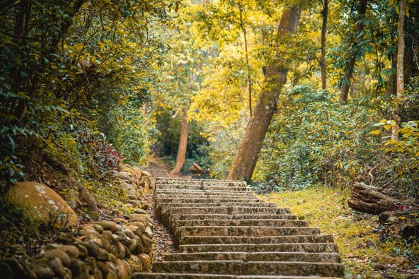 AndTaichung's tweet photo. Go #hiking on the Taichung Trail,and start new look for 2023!

#wandern #randonnée #escursionismo #senderismo

📣Dear followers, this account will be merged into  @taichungtravels from March. Follow that to discover latest events and popular attractions in Taichung city, Taiwan. https://t.co/CoucI5Ov4a