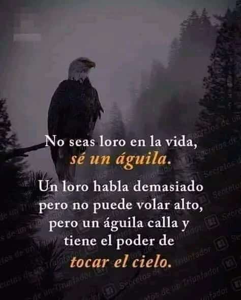 Natalia Panuccio (@nataliapanuccio) on Twitter photo 
