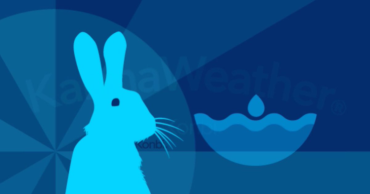 Happy New Year of the water rabbit. May it flow with love, light and abundance during these changing times ⭐️💕⭐️💕⭐️💕⭐️
