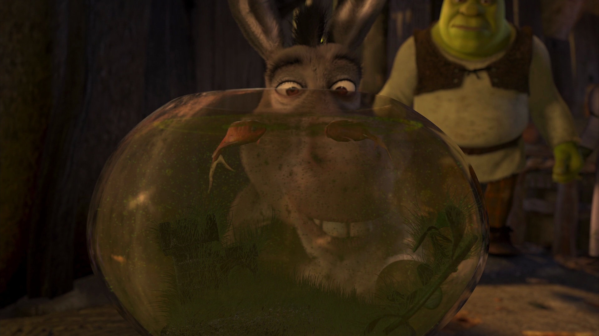Burro.  Shrek character, Shrek, Shrek donkey
