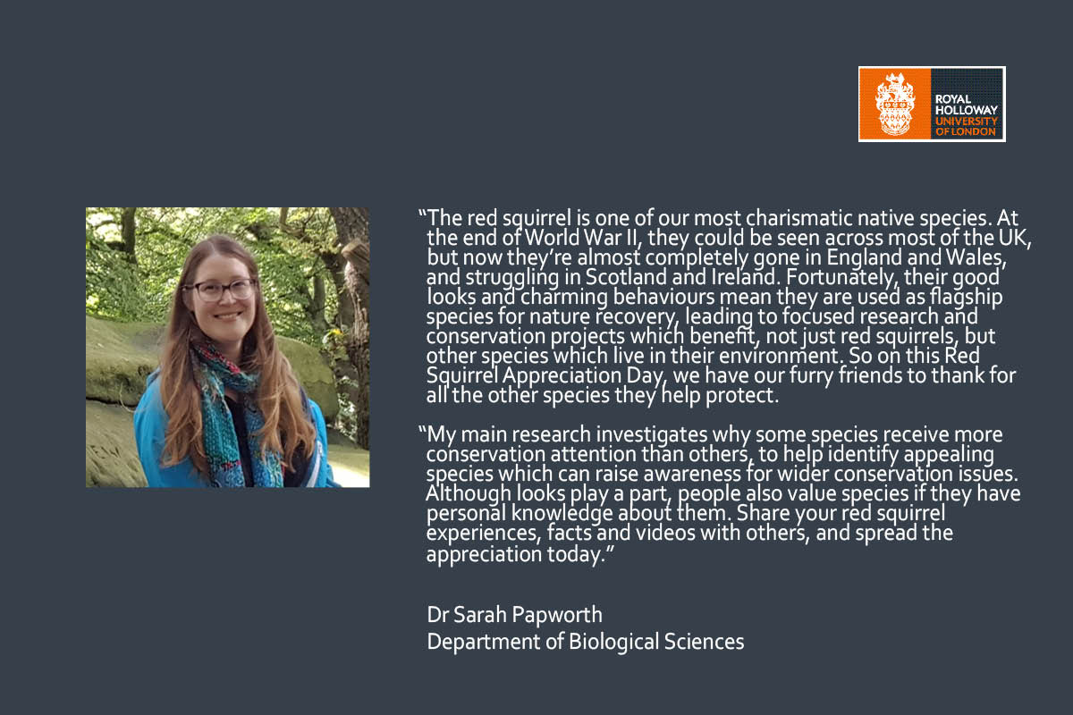 Today is Red Squirrel Appreciation Day, read what <a href="/SarahKPapworth/">Dr. Sarah Papworth is on ASOS</a> said on the red squirrel species. <a href="/RHULBioSci/">RHUL Biology</a> <a href="/RoyalHolloway/">Royal Holloway</a>