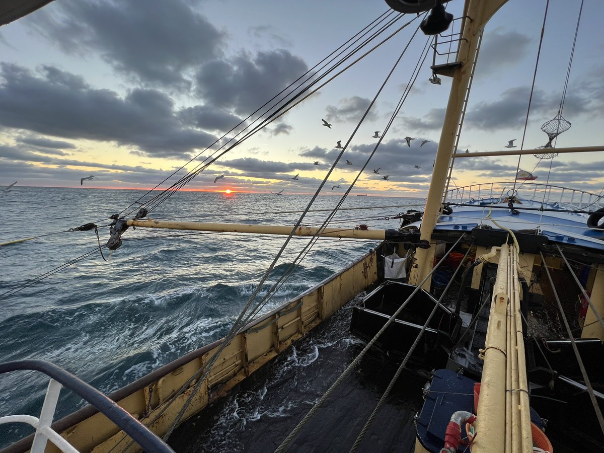 Sprat (@sprat_bm) on Twitter photo Spraturday is here!! ⚓️🐟 <a href="/BrixhamLovell/">Helen lovell</a> <a href="/MitchSmith_Pics/">Mitchsmith_photography</a> <a href="/artistandy17/">Andrew H</a> <a href="/FD_Editor/">The Fishing Daily</a> <a href="/FisheliciousUK/">| Let's Eat Seafood |.UK</a> <a href="/thefishmish/">Fishermen's Mission</a> <a href="/ThroughTheGaps/">Fishing News Live</a> @Spinlock_HQ #fishing #fish #eatmorefish ⚓️🐟 Spraturday is here!! ⚓️🐟 <a href="/BrixhamLovell/">Helen lovell</a> <a href="/MitchSmith_Pics/">Mitchsmith_photography</a> <a href="/artistandy17/">Andrew H</a> <a href="/FD_Editor/">The Fishing Daily</a> <a href="/FisheliciousUK/">| Let's Eat Seafood |.UK</a> <a href="/thefishmish/">Fishermen's Mission</a> <a href="/ThroughTheGaps/">Fishing News Live</a> @Spinlock_HQ #fishing #fish #eatmorefish ⚓️🐟