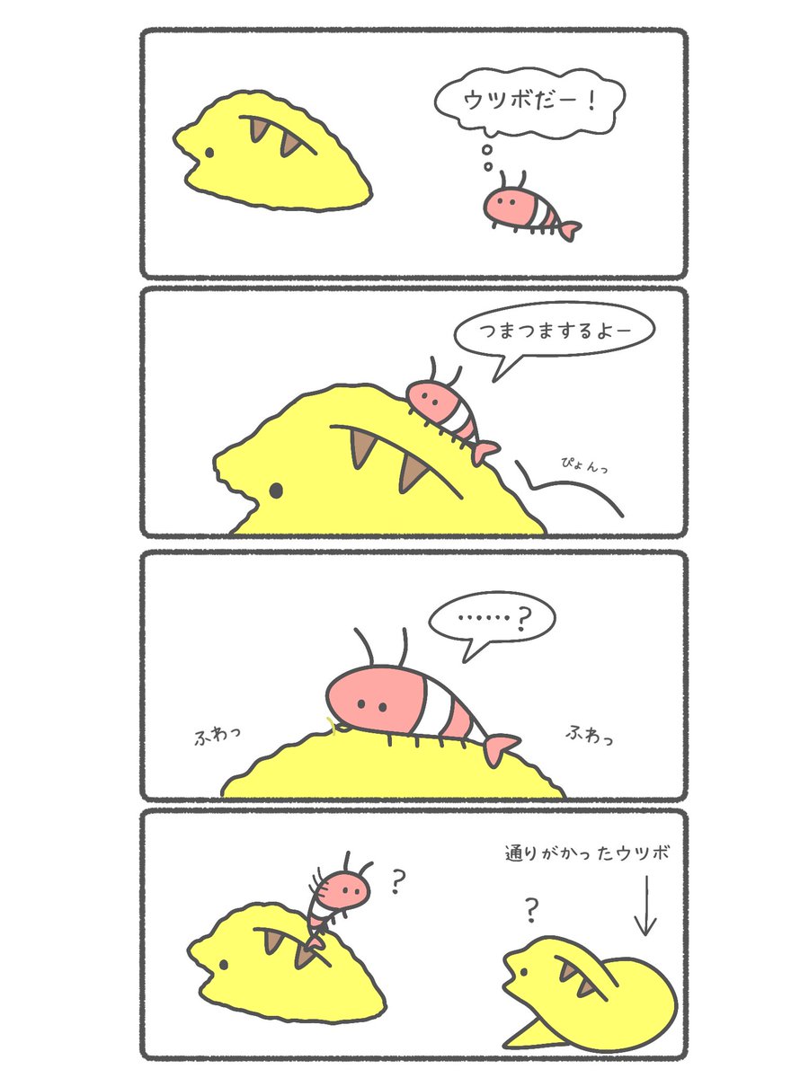 ぬいぐるみをまだ知らないえび 