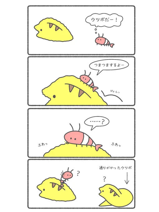 ぬいぐるみをまだ知らないえび 