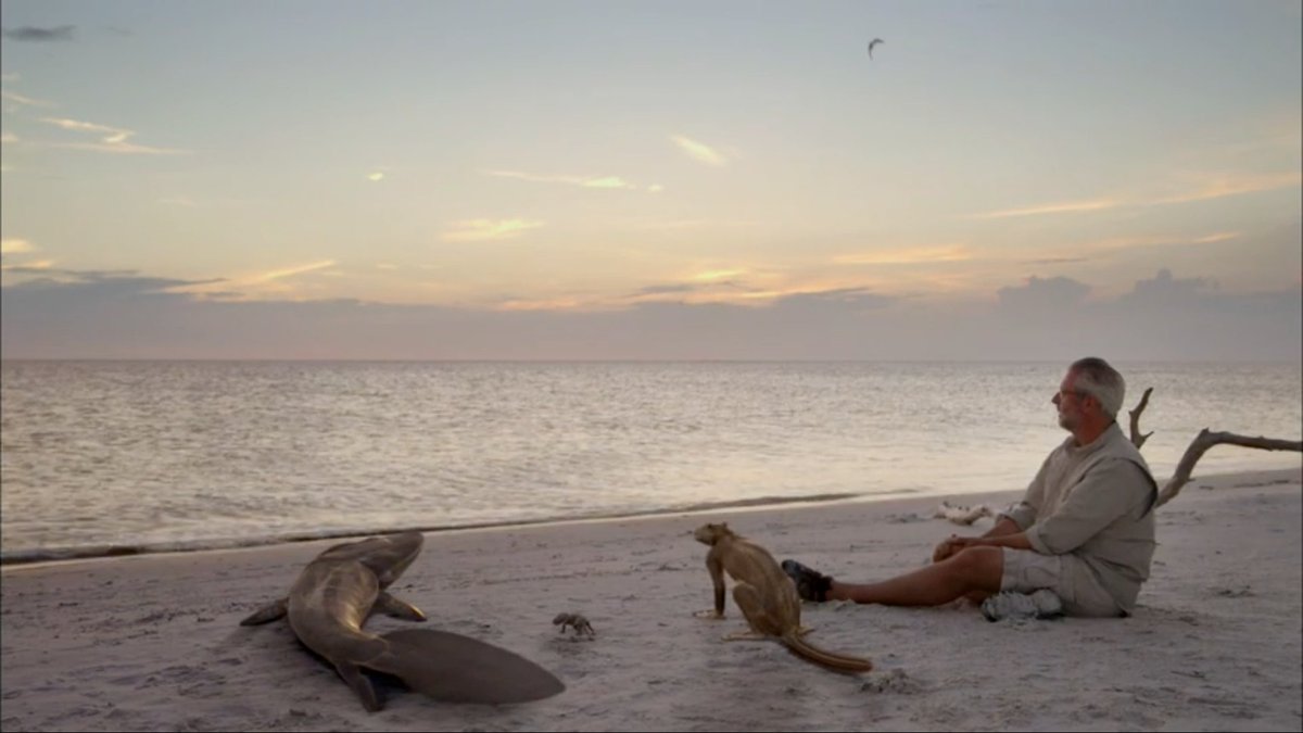 torvaanser's tweet photo. Just finished episode 3 of #YourInnerFish absolutely loved this closing scene 😍 - @NeilShubin watches a setting sun with Tiktaalik, Hadrocodium, and Notharctus... at where the land meets the sea. @PBS https://t.co/YTkvzjsrKe