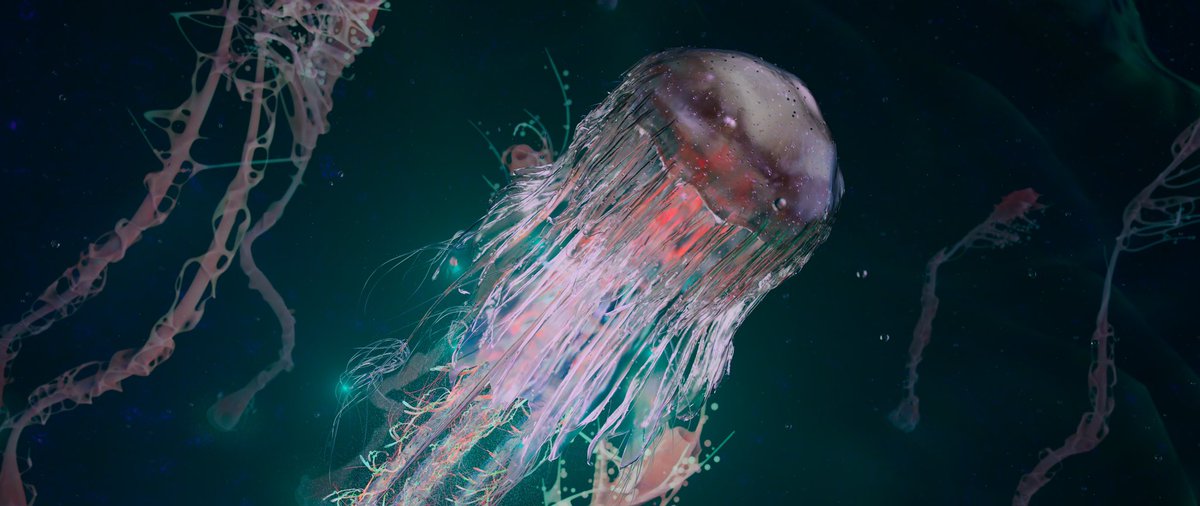 Jellica viewport vs final