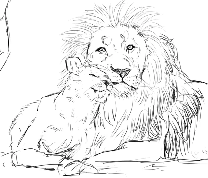 今日はリクエスト頂いたライオン描いてみました!難しかった!がおー! #イラスト練習中 #絵描きさんと繋がりたい