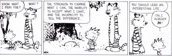 khelmich's tweet photo. @JigarShahDC I always remember the Calvin and Hobbes twist on this one. https://t.co/jKvLS0veei
