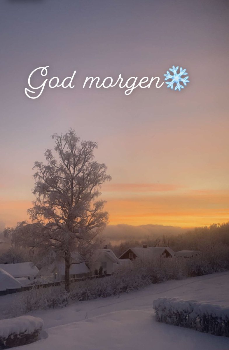 Erik Røste tweet media