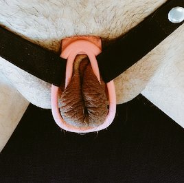 RealPussyMaker's tweet photo. I bring you today a new toy, the "fluflu clip"😏 This is a must plugin for all you sissies. It turns your pathetic penis into a real clit. And also forces to shrink the size. What else can you dream?😉 Would love feedback if you use it. Be a good girl👙🔥 https://t.co/d7X2LV6M3Q