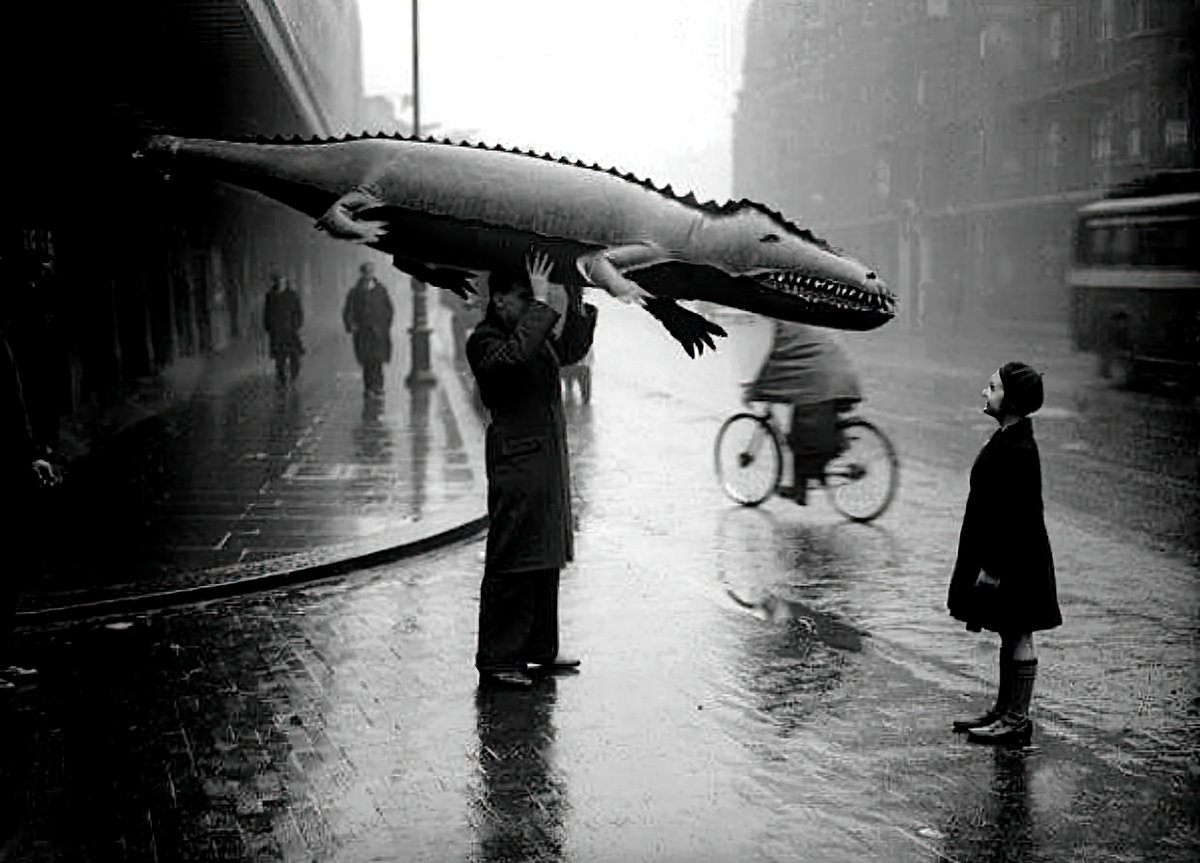 cameralab21's tweet photo. John Drysdale - The girl &amp; the man with the crocodile - 1962 https://t.co/djtqBm02Th