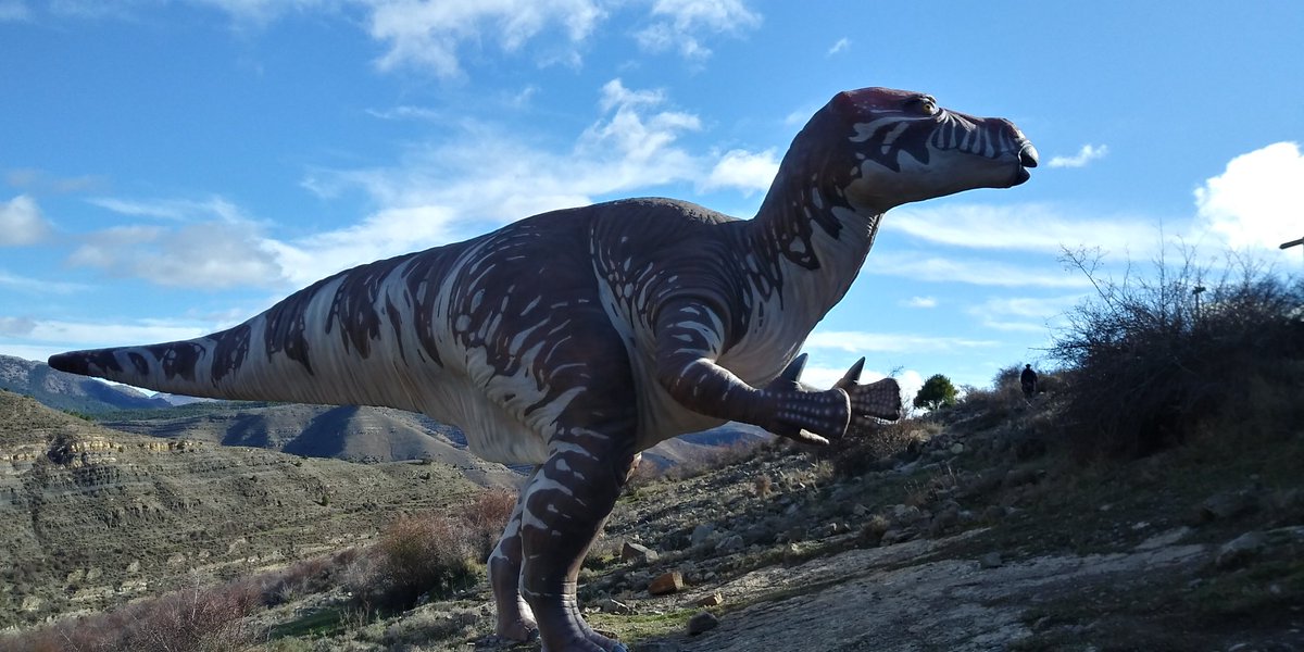 Rubén Esteban Pérez tweet media