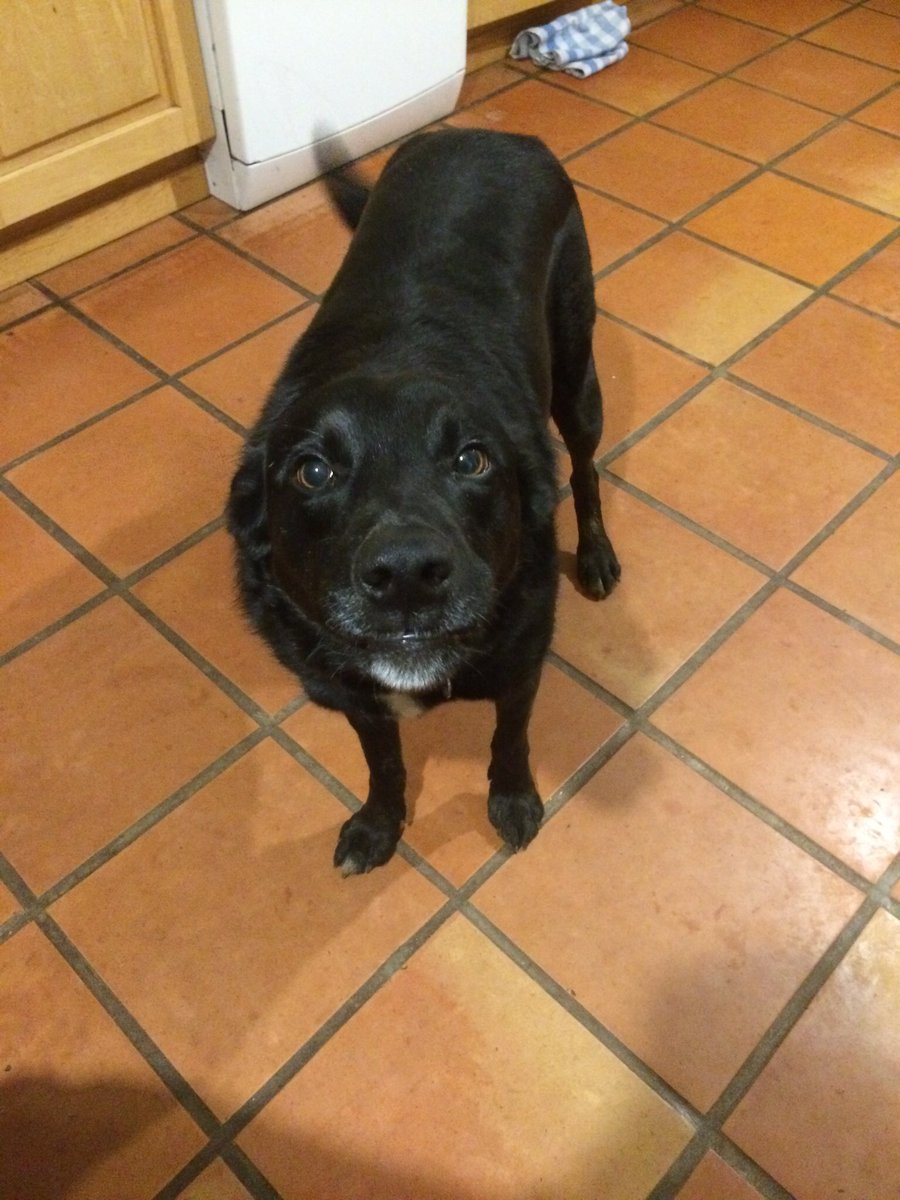 Pip A'Ness tweet media