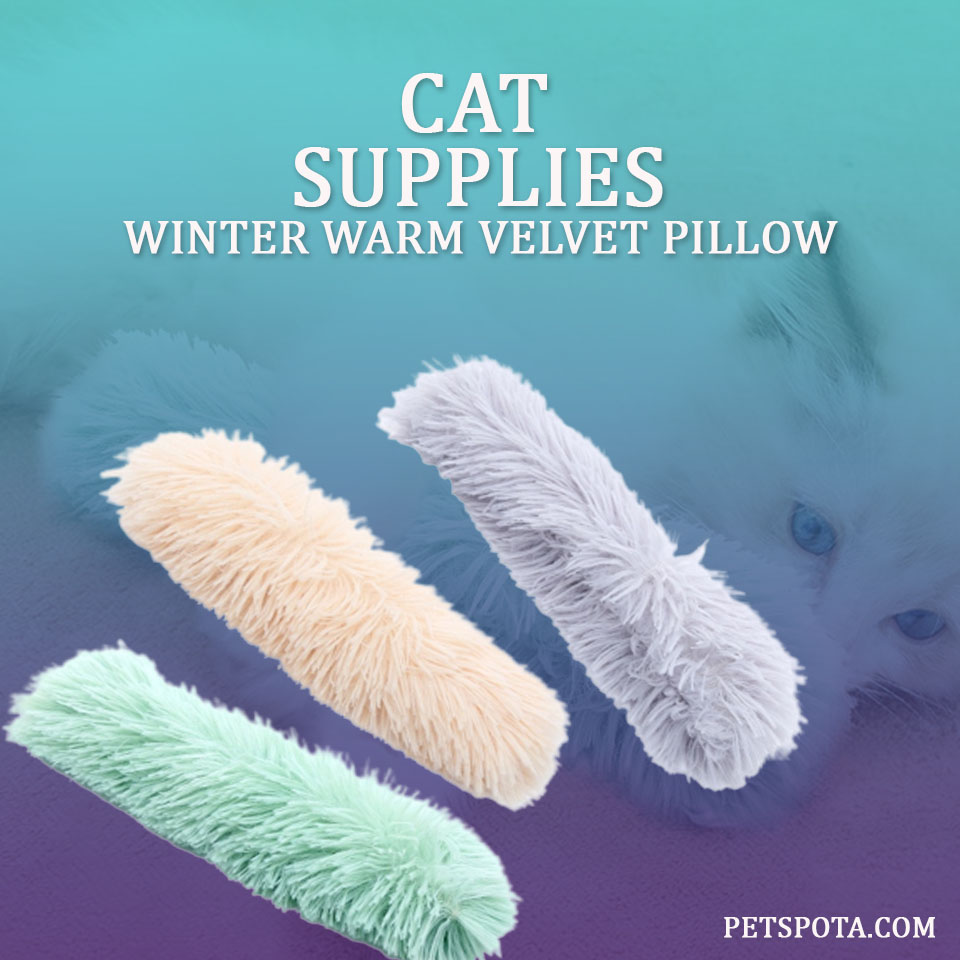 petspota's tweet image. Cat Supplies Winter Warm Velvet Pillow.

Check our Website.

#catsupplies #catpillow #cat #pillow #catlife #comfortablepillow #catlover #pet #petaccessories #sleepycat #velvetpillow #specialoffer #petspota