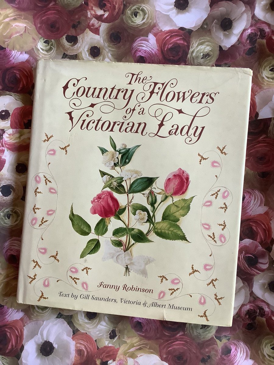 WatsonsVintage's tweet photo. NEW LISTING This is a BEAUTIFUL Book in my #etsy shop STUNNING Vintage 1999 First Printing 'The Country Flowers of a Victorian Lady' Hardback Book by Fanny Robinson -Beautifully Illustrated Book https://t.co/E2iez0je0u #PrettyBook #CountryFlowers #VictorianLady #IllustratedBook https://t.co/lTiygVfp9l